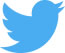 twitter icon large